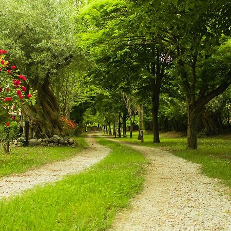 Willa Ciclopark Morano Calabro Zewnętrze zdjęcie
