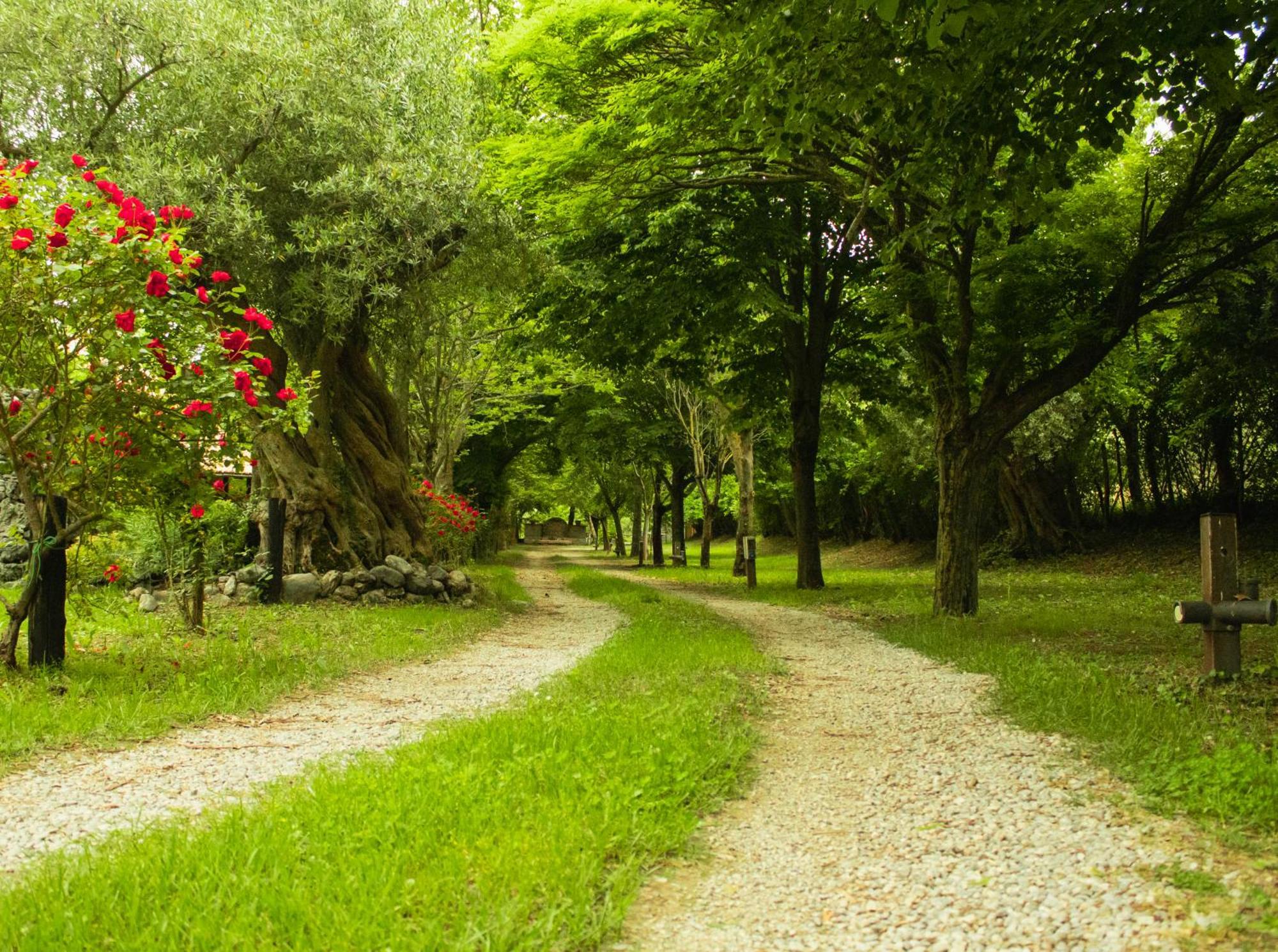 Willa Ciclopark Morano Calabro Zewnętrze zdjęcie